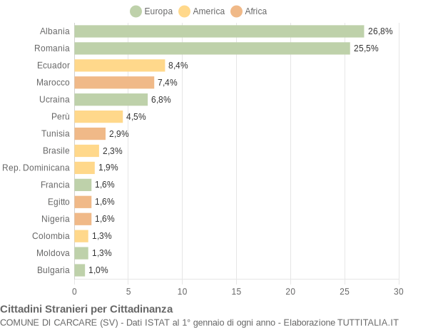 Grafico cittadinanza stranieri - Carcare 2010