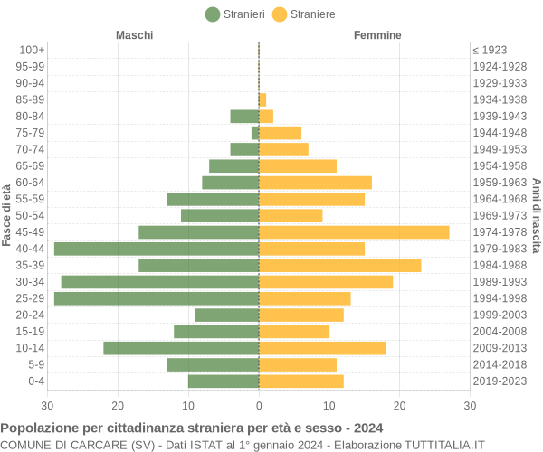 Grafico cittadini stranieri - Carcare 2024