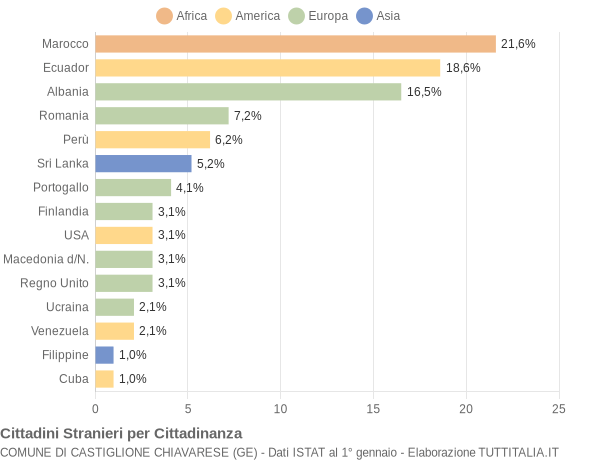 Grafico cittadinanza stranieri - Castiglione Chiavarese 2006