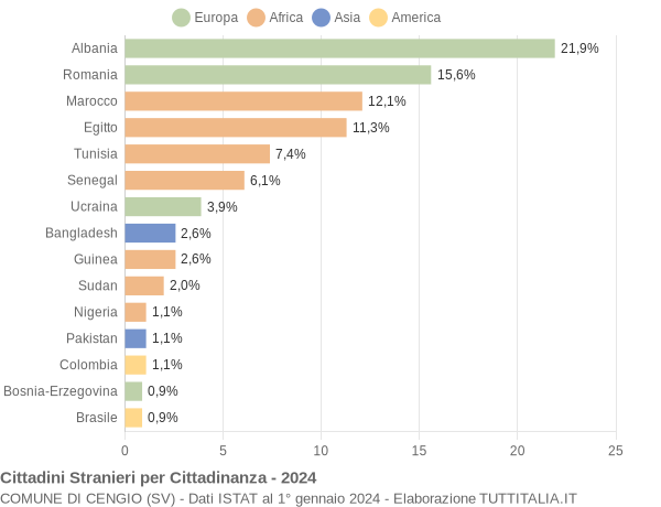 Grafico cittadinanza stranieri - Cengio 2024