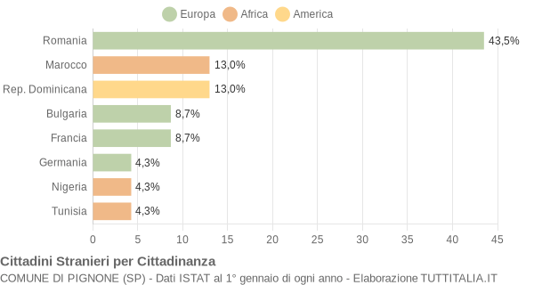 Grafico cittadinanza stranieri - Pignone 2010