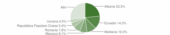 Grafico cittadinanza stranieri - Cogorno 2015