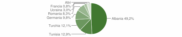 Grafico cittadinanza stranieri - Chiusavecchia 2011