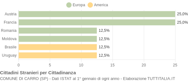 Grafico cittadinanza stranieri - Carro 2007