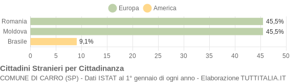 Grafico cittadinanza stranieri - Carro 2012