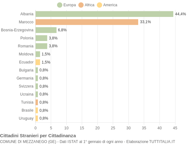 Grafico cittadinanza stranieri - Mezzanego 2004