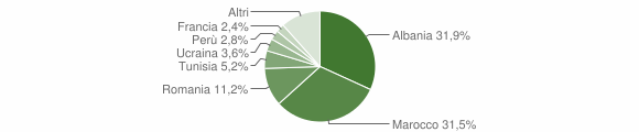 Grafico cittadinanza stranieri - Pieve di Teco 2013