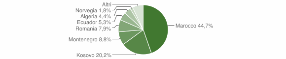 Grafico cittadinanza stranieri - Arnasco 2015