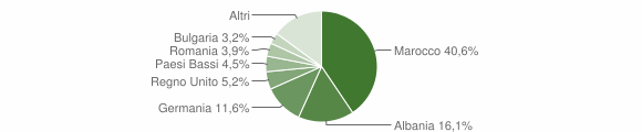 Grafico cittadinanza stranieri - Garlenda 2011