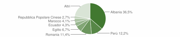 Grafico cittadinanza stranieri - Loano 2013