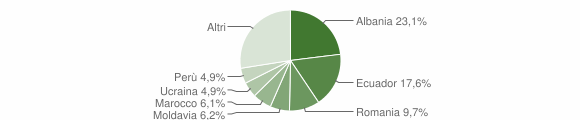 Grafico cittadinanza stranieri - Lavagna 2011