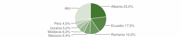 Grafico cittadinanza stranieri - Lavagna 2013