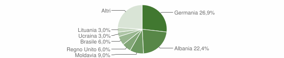Grafico cittadinanza stranieri - Cervo 2007