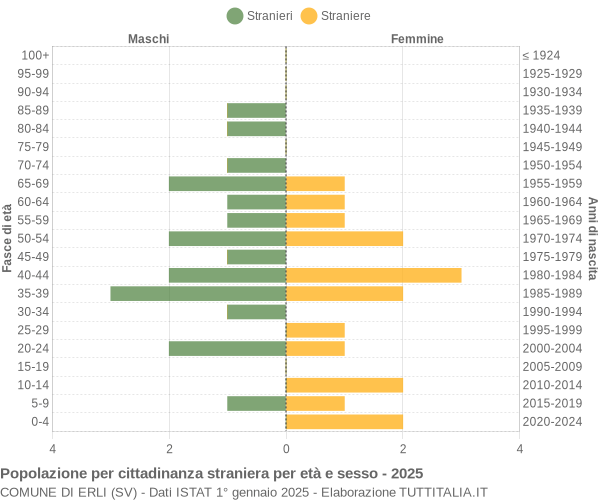 Grafico cittadini stranieri - Erli 2025