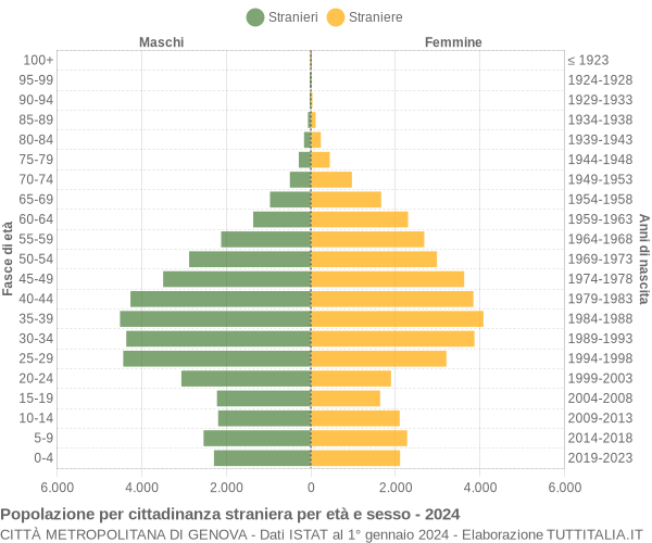 Grafico cittadini stranieri - 2024