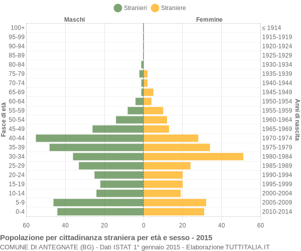 Grafico cittadini stranieri - Antegnate 2015