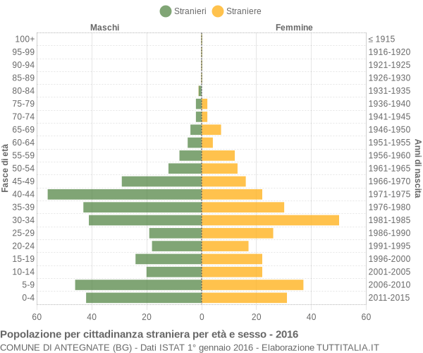 Grafico cittadini stranieri - Antegnate 2016