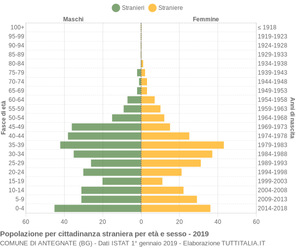 Grafico cittadini stranieri - Antegnate 2019