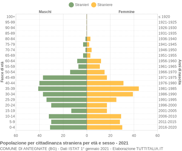 Grafico cittadini stranieri - Antegnate 2021