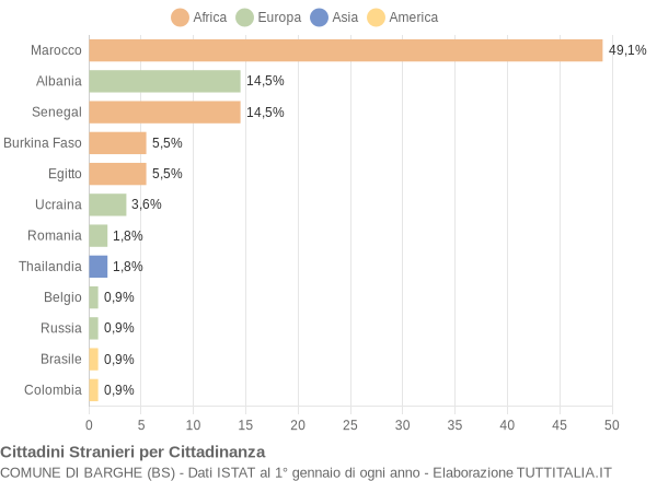 Grafico cittadinanza stranieri - Barghe 2007