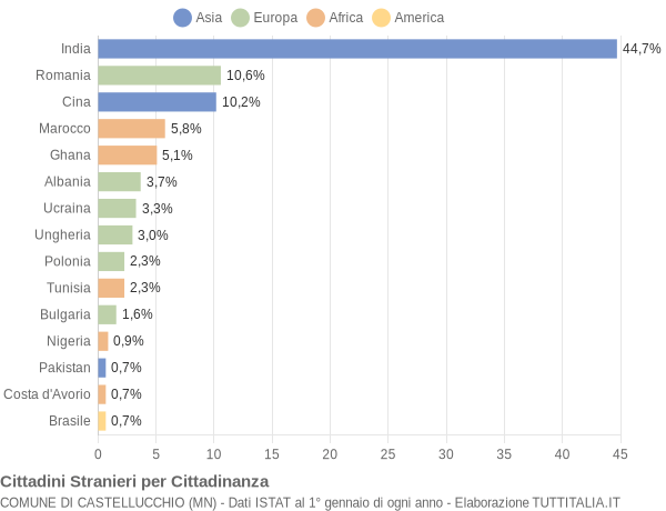 Grafico cittadinanza stranieri - Castellucchio 2019