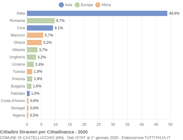 Grafico cittadinanza stranieri - Castellucchio 2020