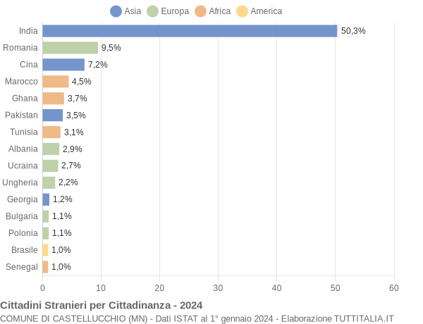 Grafico cittadinanza stranieri - Castellucchio 2024