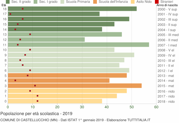 Grafico Popolazione in età scolastica - Castellucchio 2019