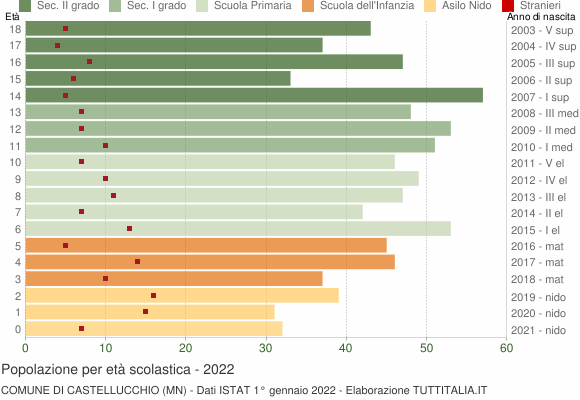 Grafico Popolazione in età scolastica - Castellucchio 2022