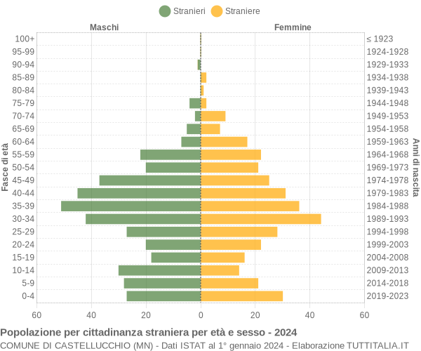 Grafico cittadini stranieri - Castellucchio 2024