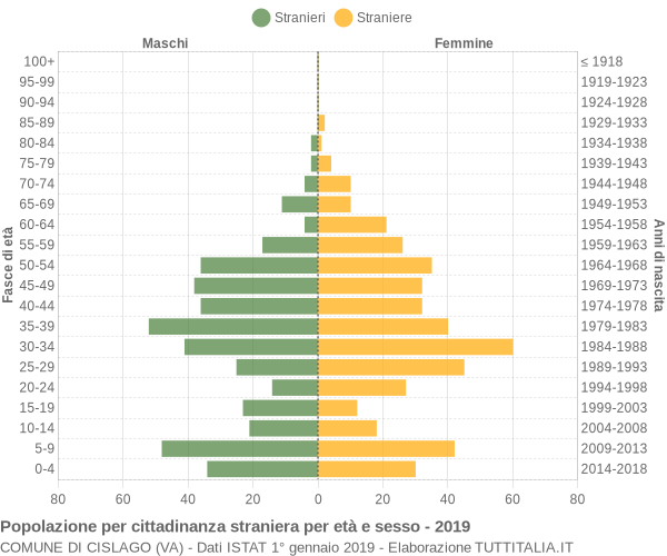 Grafico cittadini stranieri - Cislago 2019