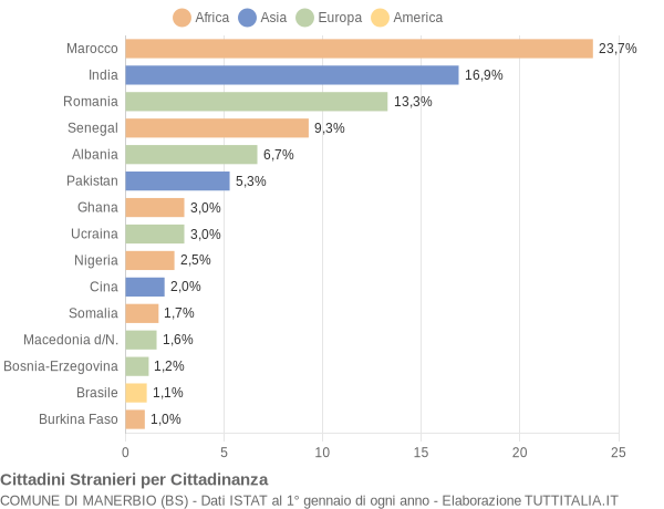 Grafico cittadinanza stranieri - Manerbio 2004