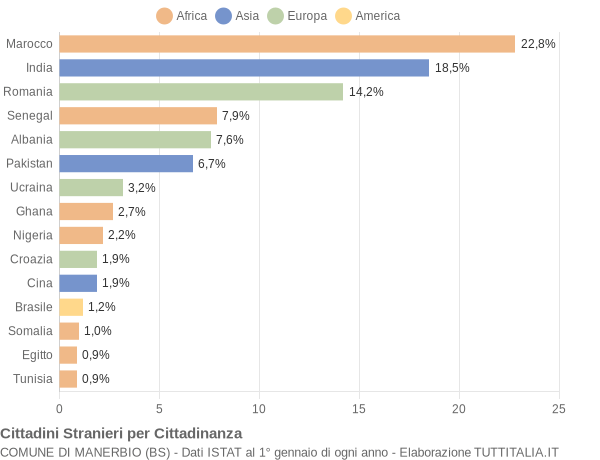 Grafico cittadinanza stranieri - Manerbio 2005