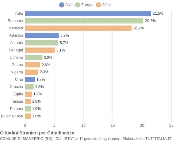 Grafico cittadinanza stranieri - Manerbio 2009