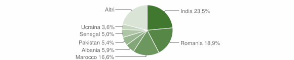 Grafico cittadinanza stranieri - Manerbio 2011