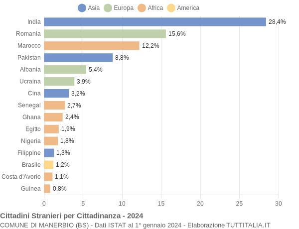 Grafico cittadinanza stranieri - Manerbio 2024