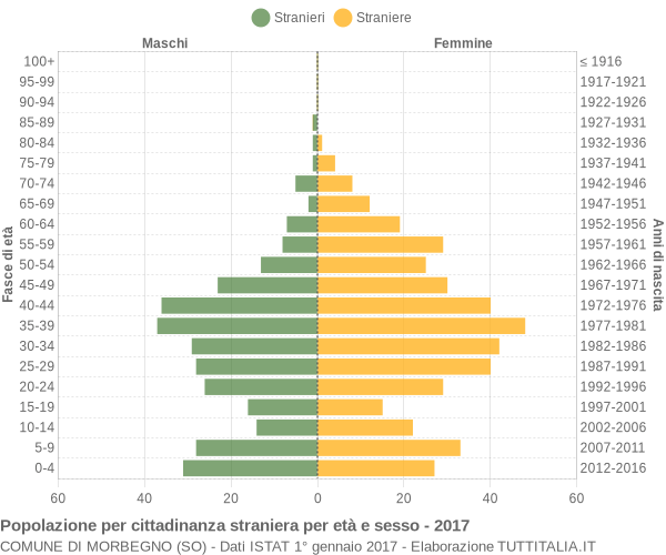 Grafico cittadini stranieri - Morbegno 2017