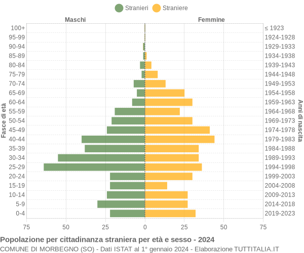 Grafico cittadini stranieri - Morbegno 2024