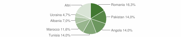 Grafico cittadinanza stranieri - Trovo 2015