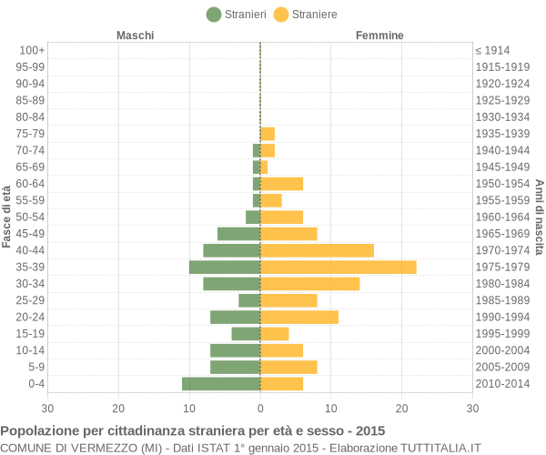 Grafico cittadini stranieri - Vermezzo 2015