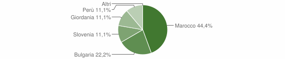 Grafico cittadinanza stranieri - Zerbo 2011