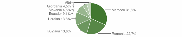 Grafico cittadinanza stranieri - Zerbo 2015