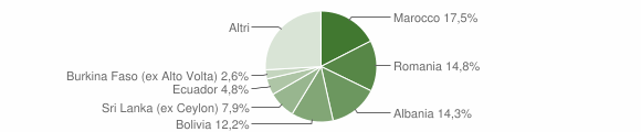 Grafico cittadinanza stranieri - Aicurzio 2015