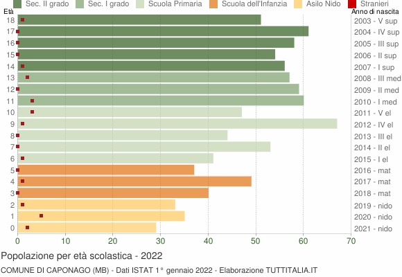 Grafico Popolazione in età scolastica - Caponago 2022