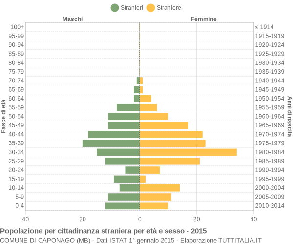 Grafico cittadini stranieri - Caponago 2015