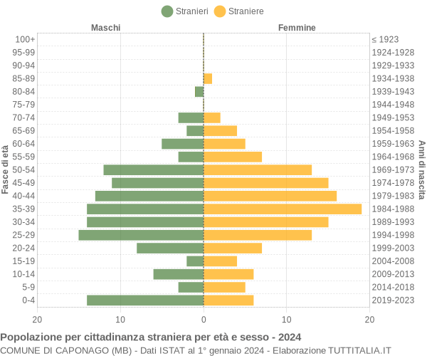 Grafico cittadini stranieri - Caponago 2024