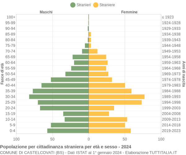 Grafico cittadini stranieri - Castelcovati 2024