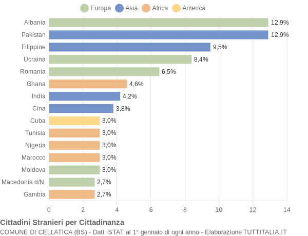 Grafico cittadinanza stranieri - Cellatica 2007