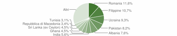 Grafico cittadinanza stranieri - Cellatica 2010