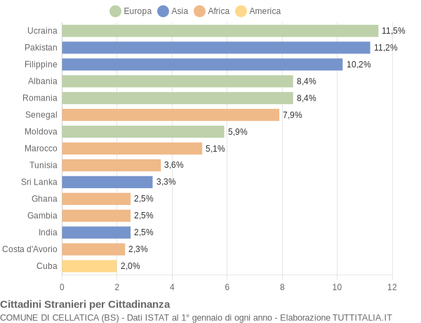 Grafico cittadinanza stranieri - Cellatica 2013